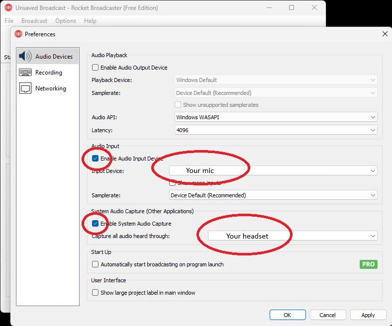 Rocket Broadcaster audio input settings with two checkboxes circled